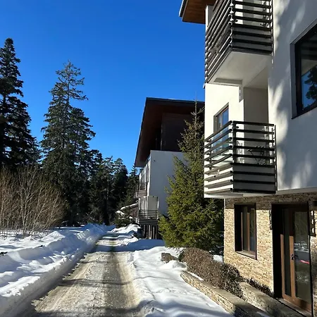 Beauty&travel Borovec